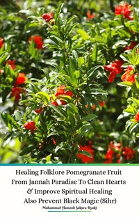 Healing Folklore Pomegranate Fruit From Jannah Paradise To Clean Hearts & Improve Spiritual Healing Also Prevent Black Magic (Sihr) - Muhammad Hamzah Sakura Ryuki - ebook