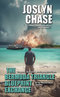 The Bermuda Triangle Blueprint Exchange - Joslyn Chase - ebook