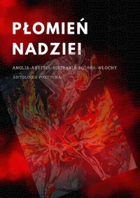 Płomień nadziei - red. Kuchnia-Wołosiewicz - ebook