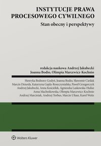 Instytucje prawa procesowego cywilnego. Stan obecny i perspektywy - Henryka Bednorz-Godyń - ebook