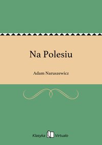 Na Polesiu - Adam Naruszewicz - ebook