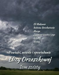 Powieści, nowele i opowiadania Elizy Orzeszkowej. Tom 6 - Eliza Orzeszkowa - ebook