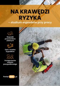 Na krawędzi ryzyka – studium wypadków przy pracy - Opracowanie zbiorowe - ebook