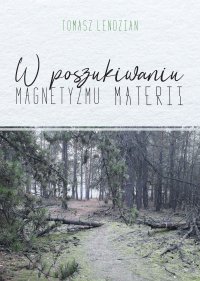 W poszukiwaniu magnetyzmu materii - Tomasz Lendzian - ebook