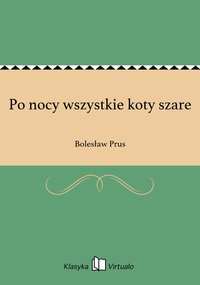 Po nocy wszystkie koty szare - Bolesław Prus - ebook