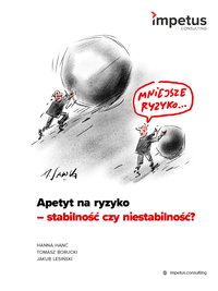 Apetyt na ryzyko - stabilność czy niestabilność - Hanna Hanć - ebook