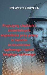 Przyczyny ciężkich i śmiertelnych wypadków przy pracy w świetle orzecznictwa sądowego i opinii biegłego sądowego - Sylwester Bryłka - ebook