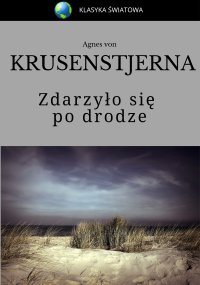 Zdarzyło się po drodze - Agnes von Krusenstjerna - ebook