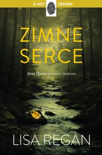 Zimne serce - Lisa Regan - ebook