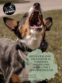 Sztuka balansu – jak stosować narzędzia treningowe skutecznie i odpowiedzialnie - Oktawia Stefan - ebook