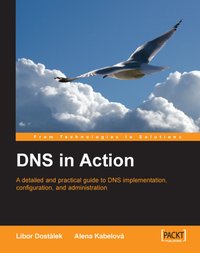 DNS in Action - Libor Dostalek - ebook