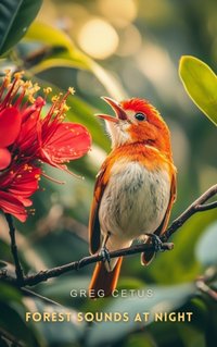 Forest Sounds at Night - Greg Cetus - audiobook