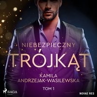 Niebezpieczny trójkąt. Tom 1 - Kamila Andrzejak-Wasilewska - audiobook