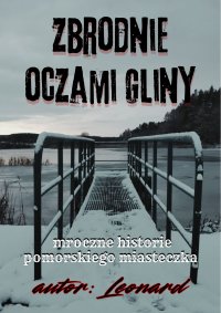 Zbrodnie oczami gliny - Leonard - ebook