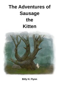 The Adventures of Sausage the Kitten - Billy H. Flynn - ebook