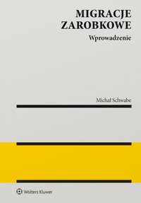 Migracje zarobkowe. Wprowadzenie do analizy - Michał Schwabe - ebook