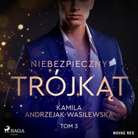 Niebezpieczny trójkąt. Tom 3. Game over - Kamila Andrzejak-Wasilewska - audiobook