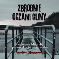 zbrodnie oczami gliny - Leonard - audiobook