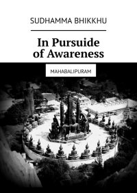 In Pursuide of Awareness - Sudhamma Bhikkhu - ebook