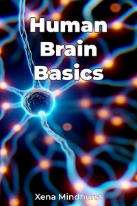 Human Brain Basics - Xena Mindhurst - ebook