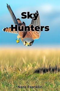 Sky Hunters - Nora Franklin - ebook