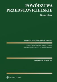 Powództwa przedstawicielskie. Komentarz - Anna Cudna-Wagner - ebook