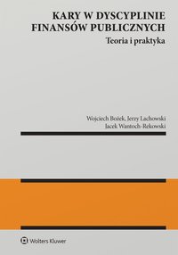 Kary w dyscyplinie finansów publicznych - Wojciech Bożek - ebook