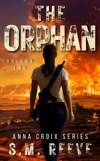The Orphan - S.M. Reeve - ebook