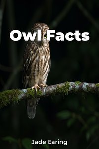 Owl Facts - Jade Earing - ebook