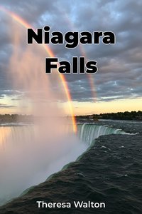 Niagara Falls - Theresa Walton - ebook
