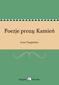 Poezje prozą: Kamień - Iwan Turgieniew - ebook