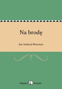 Na brodę - Jan Andrzej Morsztyn - ebook
