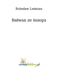 Bałwan ze śniegu - Bolesław Leśmian - ebook