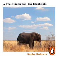 Training School for Elephants - Sophy Roberts - audiobook