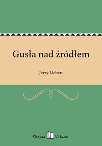 Gusła nad źródłem - Jerzy Liebert - ebook