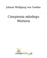 Cierpienia młodego Wertera - Johann Wolfgang Goethe - ebook
