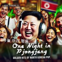 One Night in Pjongjang - HOID_TERMINAL - audiobook