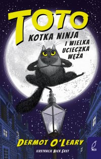 Kotka Ninja i wielka ucieczka węża - Agnieszka Głaz-Fedak - ebook