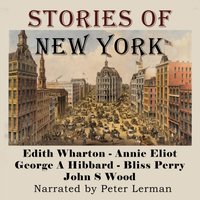 Stories of New York - various authors - audiobook