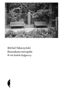 Kieszonkowa metropolia - Michał Tabaczyński - ebook