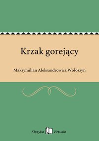 Krzak gorejący - Maksymilian Aleksandrowicz Wołoszyn - ebook