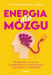 Energia dla mózgu. Przełom w nauce o zdrowiu psychicznym i leczeniu zaburzeń - Christopher M. Palmer - ebook