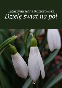 Dzielę świat na pół - Katarzyna Koziorowska - ebook
