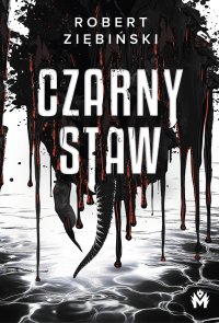 Czarny Staw - Robert Ziębiński - ebook
