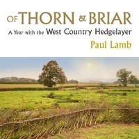 Of Thorn & Briar - Paul Lamb - audiobook