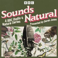 Sounds Natural - Derek Jones - audiobook