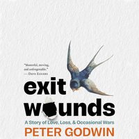 Exit Wounds - Peter Godwin - audiobook