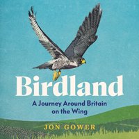 Birdland - Jon Gower - audiobook