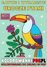 Wyraziste i Łatwe Urocze Ptaki: Kolorowanki Dla Dorosłych Do Druku w PDF - Relaksująca Antystresowa Książka Do Kolorowania - Artful Palette - ebook