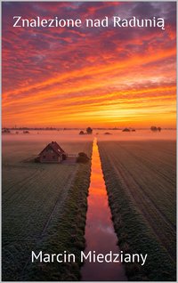Znalezione nad Radunią - Marcin Miedziany - ebook